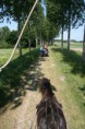 /album/menrit-04-06-2011/a06-04-2011-102-jpg/